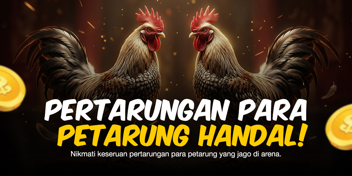 SV388 Sabung Ayam: Menyingkap Jenis Ayam Aduan dan Odds Terbaik